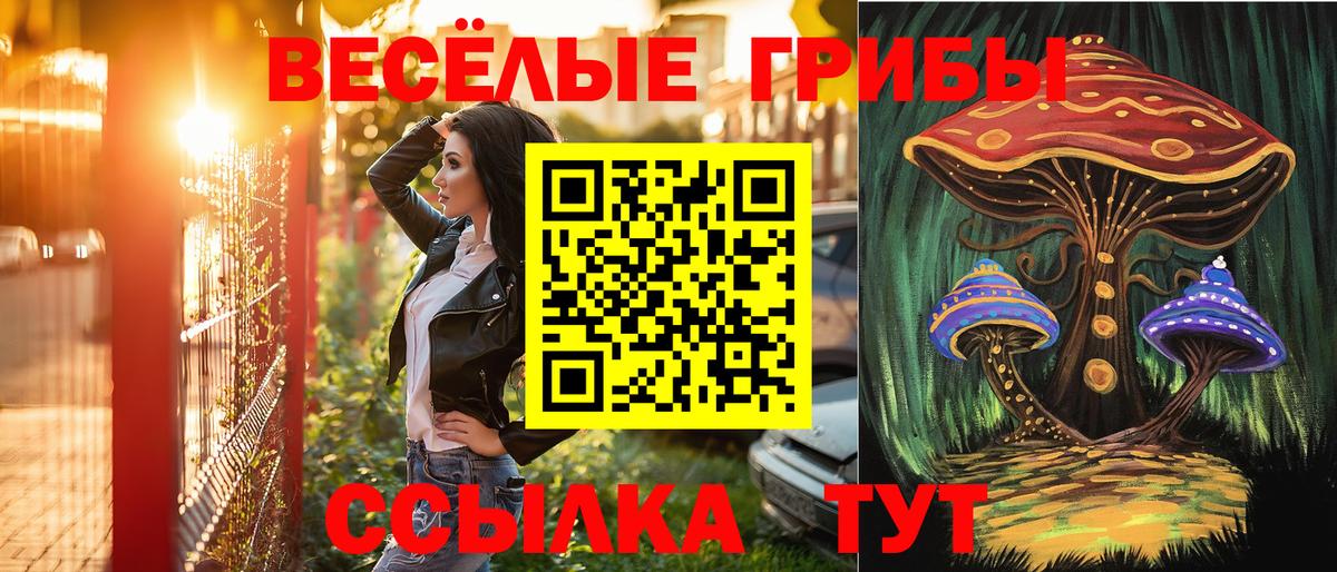 Серпухов  Псилоцибиновые грибы мицелий  Вход с VPN 
