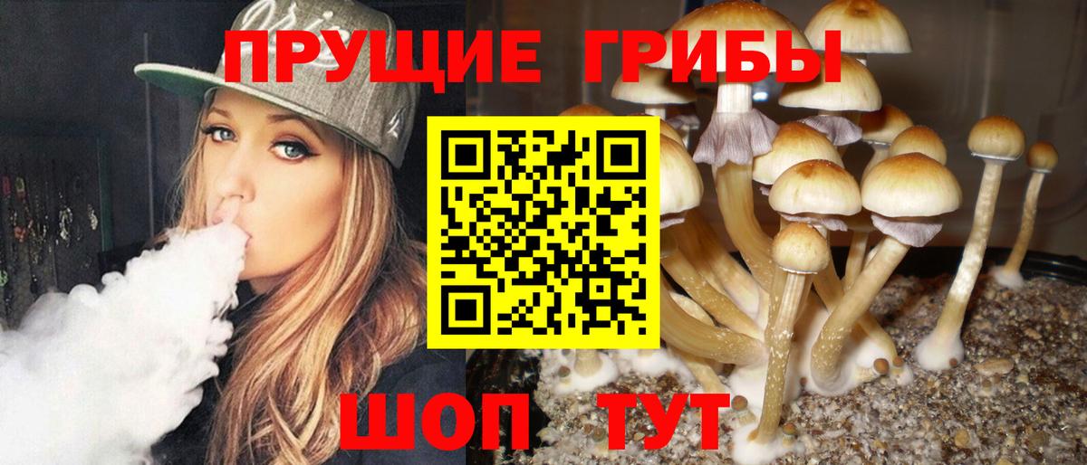 Галлюциногенные грибы MAGIC MUSHROOMS Серпухов